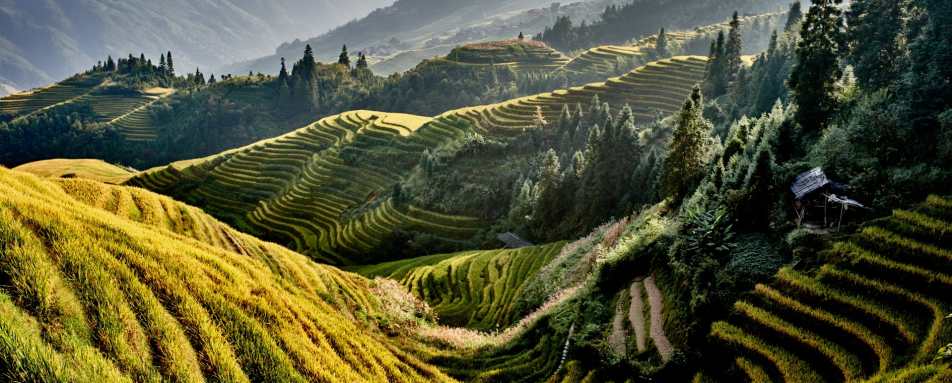 Longsheng 