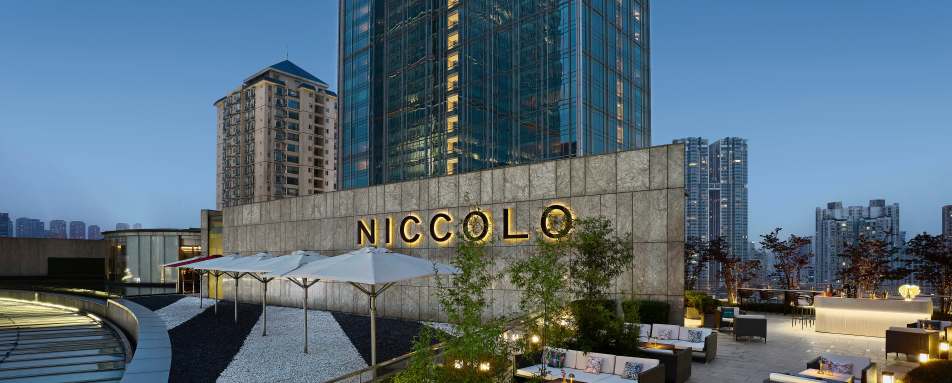 Niccolo Chengdu- 65