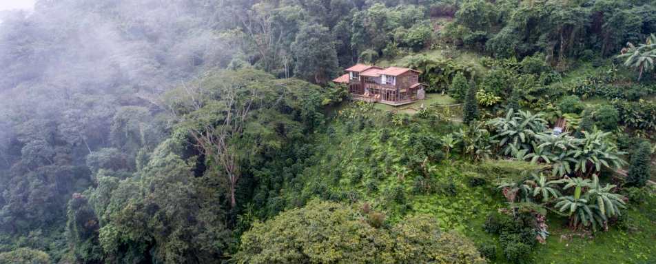 Casa Oropendola- 13