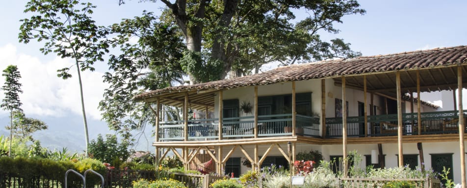 Hacienda Bambusa 5 