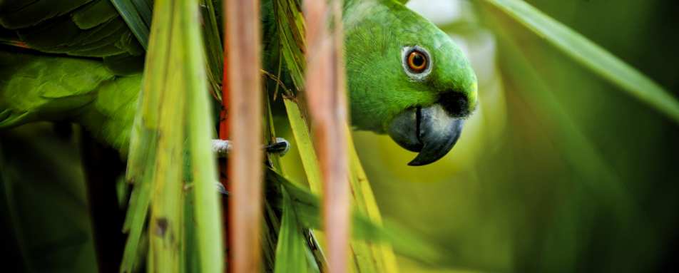 Active Costa Rica 