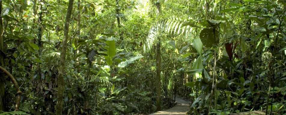 Active Costa Rica 