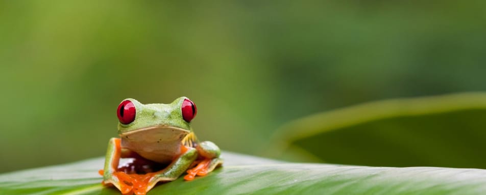 Active Costa Rica 