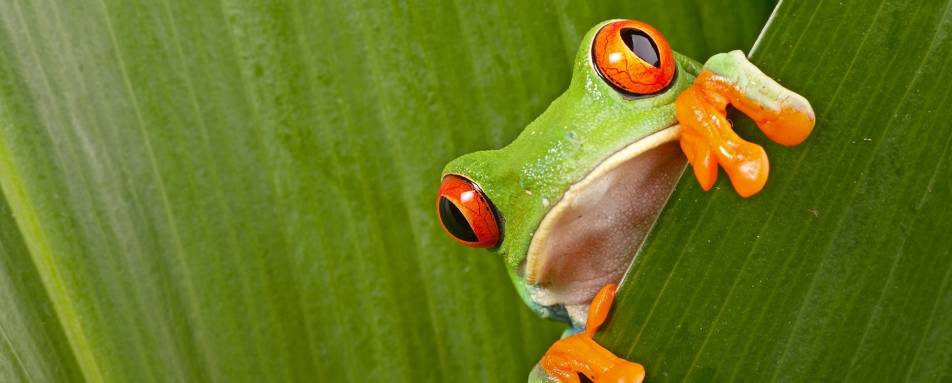 Costa Rica with Kids 