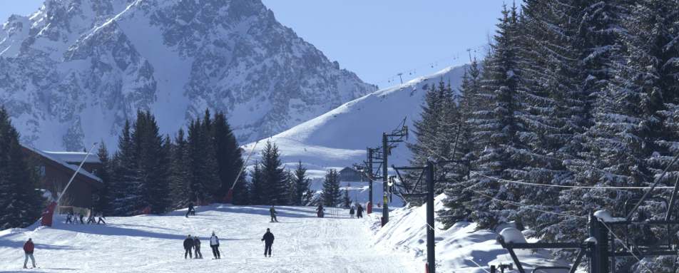Skiing 