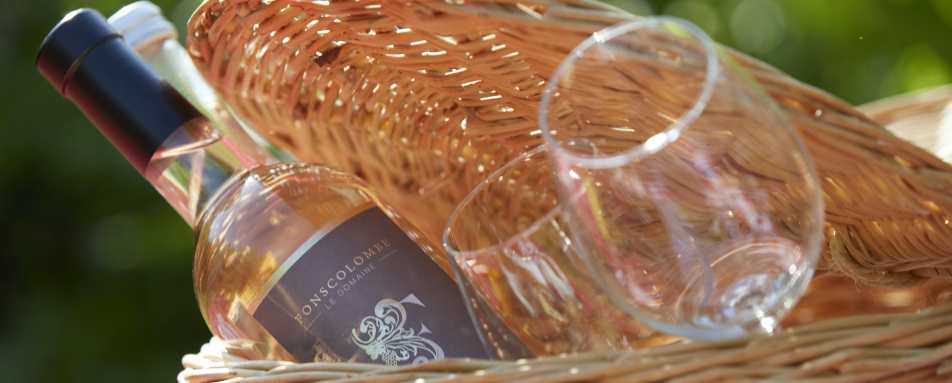 Chateau d'Audrieu- 46