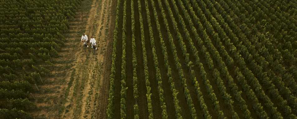COMO Le Montrachet - 105