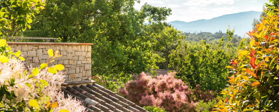 Terre Blanche Hotel Spa Golf Resort- 150