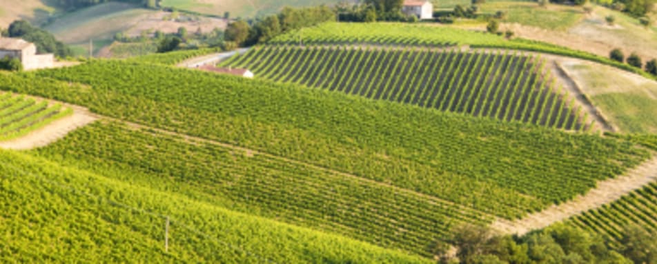 Tastes of Bordeaux