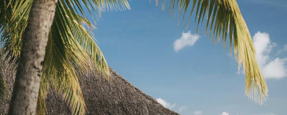 Four Seasons Resort Bora Bora- 65