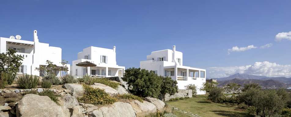 Naxian Collection- 10