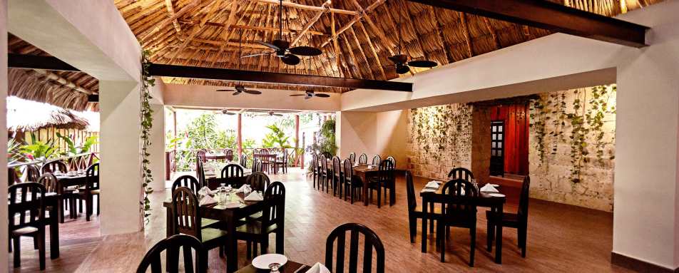 Jungle Lodge- 6