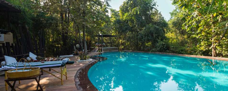 Reni Pani Jungle Lodge- 12