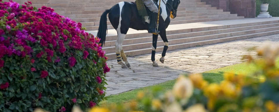 Taj Umaid Bhawan Palace- 51