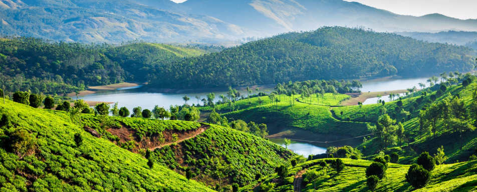 Munnar - Treasures of Cochin & Tamil Nadu
