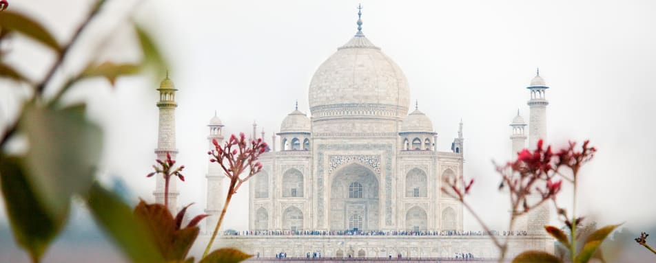 Taj 