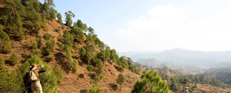 Remote Landscapes 