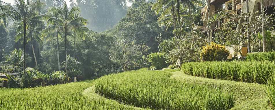 Four Seasons Resort Bali at Sayan- 84