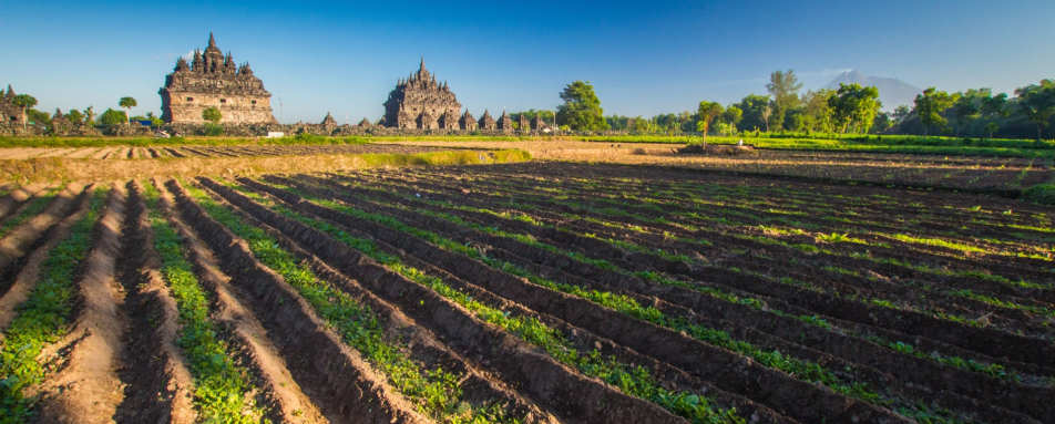 Cycling Prambanan Village