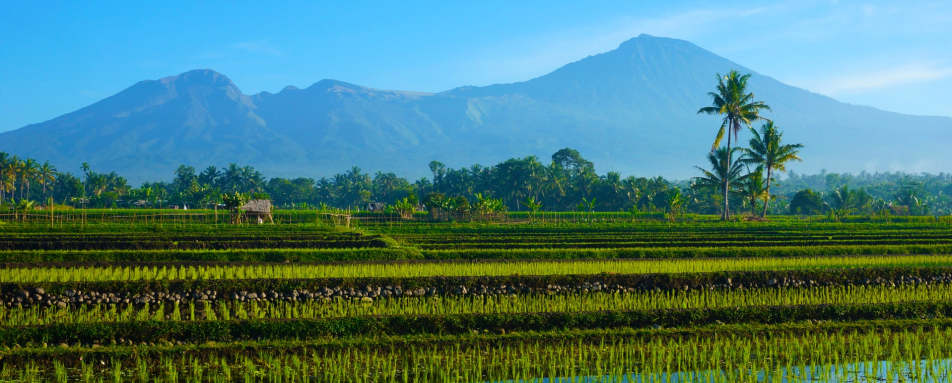 Lombok 