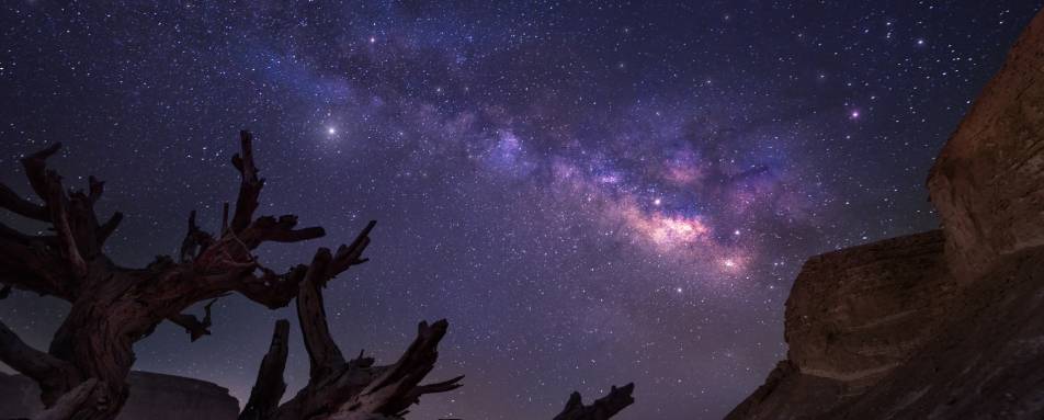 Stargazing   