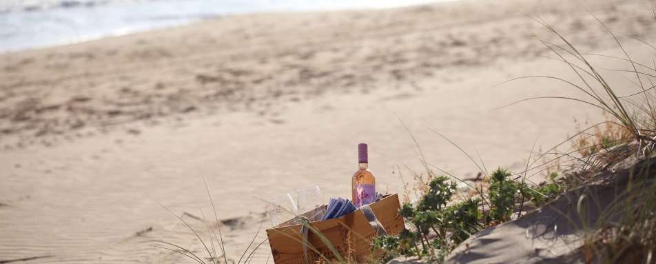 Beach picnic 