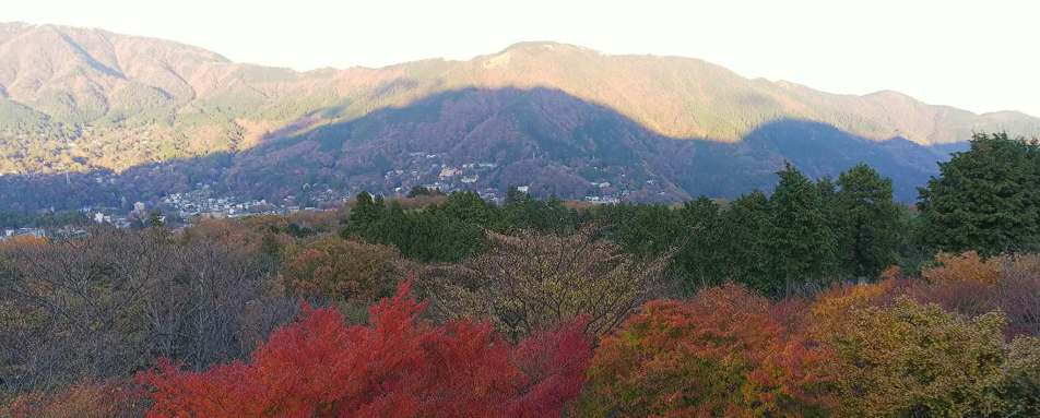 Hakone Gora Byakudan- 24