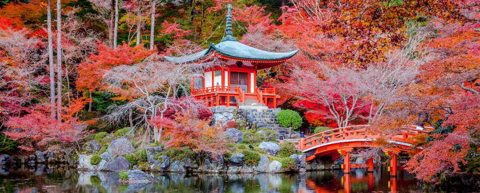 Our guide to Japan