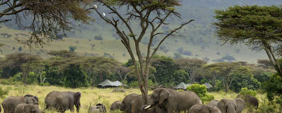 Angama Safari Camp- 15