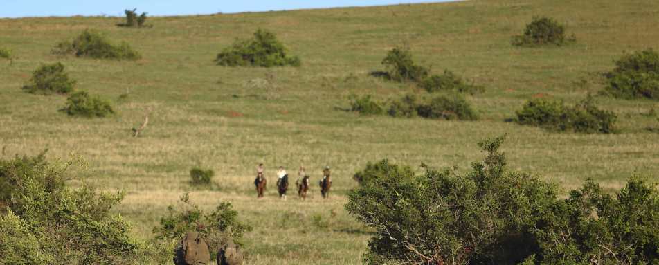 Borana Lodge- 15
