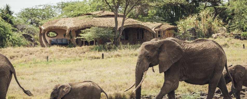 Lewa House- 59