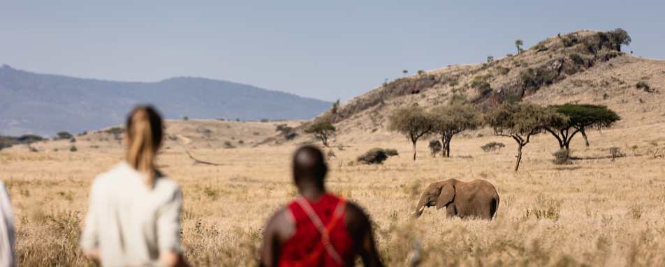 Lewa Wilderness- 43