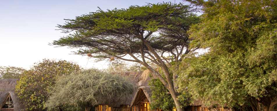 Lewa Wilderness- 47