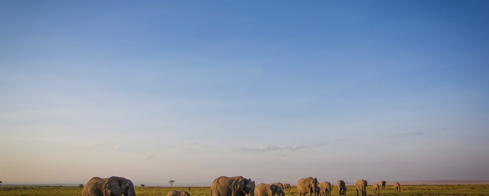 Offbeat Mara Camp- 20