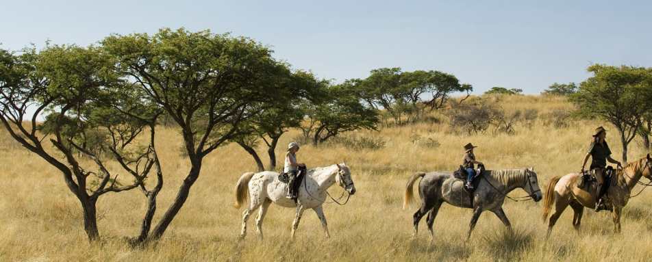 Riding Holidays