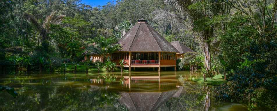 Vakona Forest Lodge- 11
