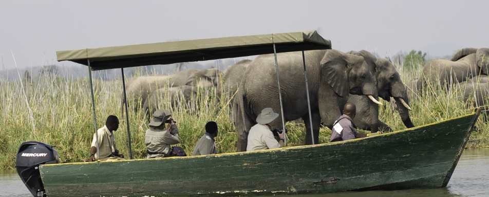 Boating safari 