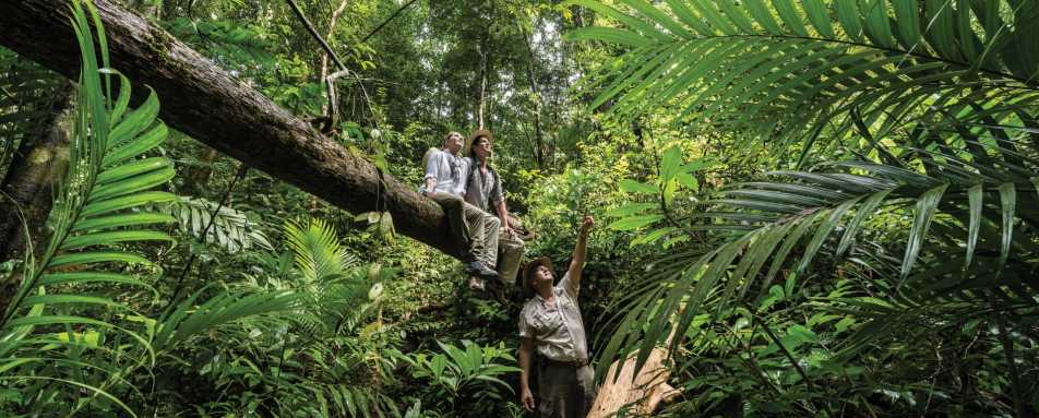 Wildlife Tours 