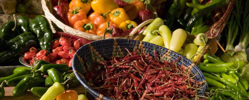 Chilis - A Culinary Journey