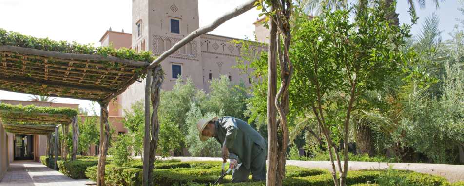 Dar Ahlam- 19