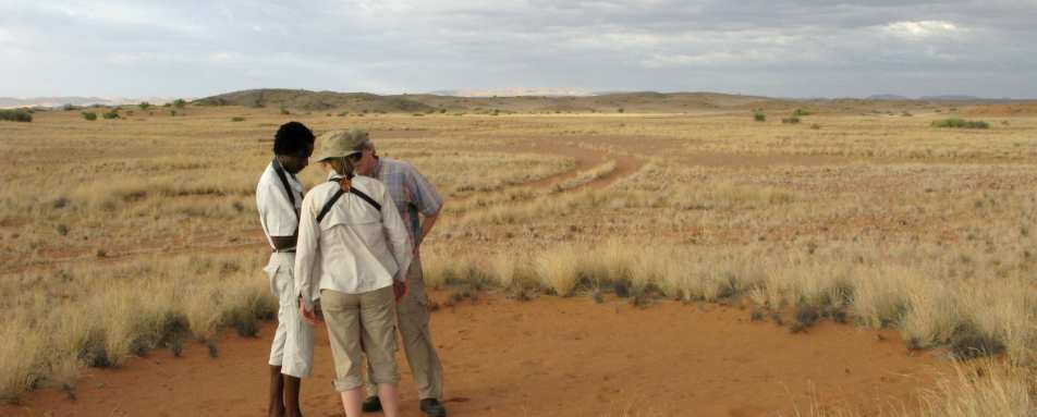 Fairy circles 