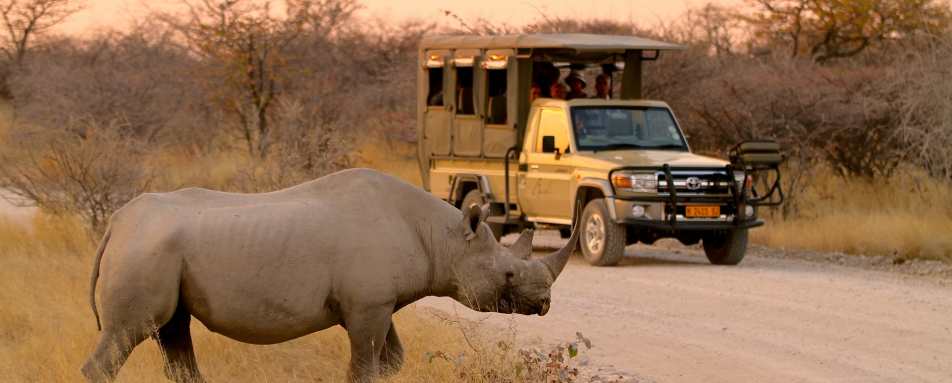 Top 10 Safaris