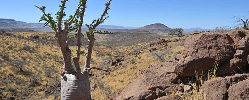 Etendeka Mountain Camp- 24