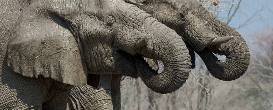 Etosha Mountain Lodge- 17