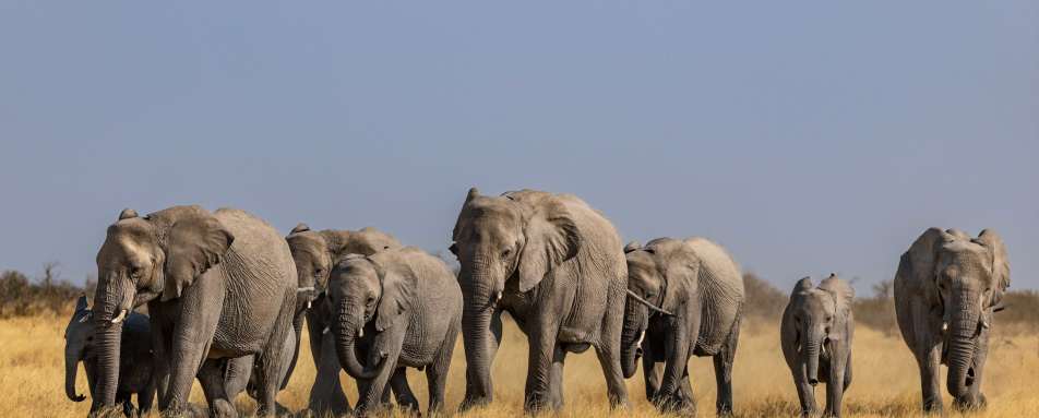 Etosha Mountain Lodge- 21