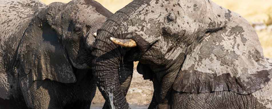 Etosha Mountain Lodge- 14