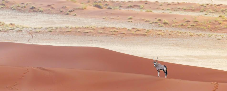 Kwessi Dunes- 43