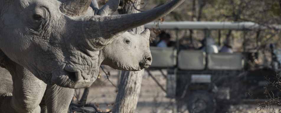 Ongava Lodge- 46