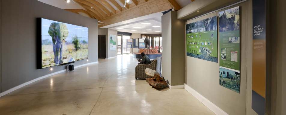 Ongava Lodge- 52