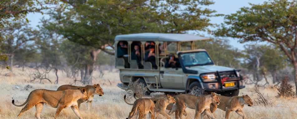 Safarihoek Lodge- 25